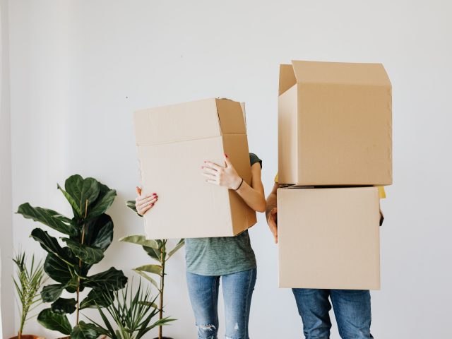 Renting and moving in
